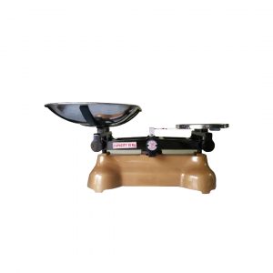 Close Body Scale Double Beam Type with S S Scoop & S S Plate